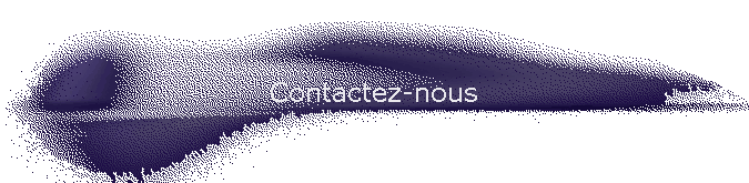 Contactez-nous